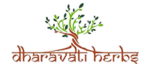 dharavatiherbs.com